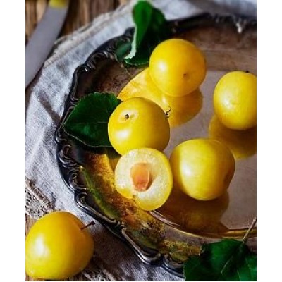 Саженец сливы "Байрон Голд" Саженец сливы "Байрон Голд"